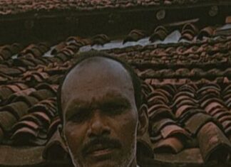 मेंढपाळाचा सर्पदंशाने मृत्यू ; सावंगी शिवारातील घटना