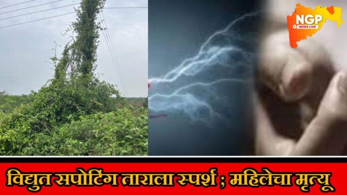 WhatsApp Image 2025-06-29 at 17.00.45_b41fee45