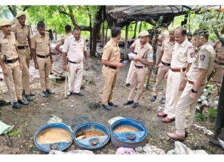 अवैध मोहफुलाच्या अड्यावर धाड ; कुही पोलिसांची कारवाई
