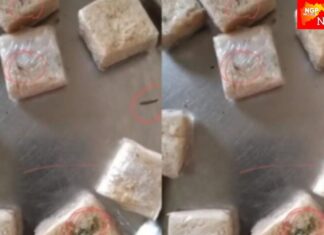 अंगणवाडी केंद्रात बालकांना दूषीत बुरशी, अळ्या असलेल्या सोनपापडीचे वाटप ; वेळीच लक्षात आल्याने पुढील अनर्थ टळला