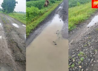 सोनपुरी रस्ता उध्वस्त ; डांबर उडालं, गिट्टी उखडली ! अवघा १ किमी मार्ग , पण खड्ड्यांच्या महासापळ्यात ग्रामस्थ त्रस्त