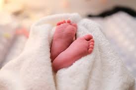 कचऱ्याच्या ढिगाऱ्यात फेकलेल्या आठ महिन्याच्या चिमुकलीचा निर्दयी अंत