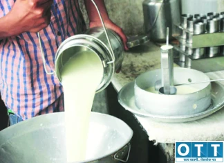 Akola News : परवाना नसलेल्या डेअरीवर अन्न व औषध प्रशासनाची कारवाई; विक्री बंदचे आदेश Akola News