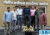 अकस्मात मृत्यू’चा बनाव फसला; अवघ्या ३ तासांत खुनाचा उलगडा, मुख्य आरोपीला अटक