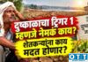 Trigger-1 लागू झाला म्हणजे शेतकऱ्यांच्या खात्यात पैसे कधी येणार? ‘प्रथम कळ’नंतर पुढे काय होणार, जाणून घ्या