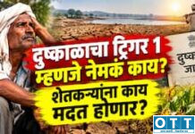 Trigger-1 लागू झाला म्हणजे शेतकऱ्यांच्या खात्यात पैसे कधी येणार? ‘प्रथम कळ’नंतर पुढे काय होणार, जाणून घ्या