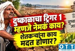 Trigger-1 लागू झाला म्हणजे शेतकऱ्यांच्या खात्यात पैसे कधी येणार? ‘प्रथम कळ’नंतर पुढे काय होणार, जाणून घ्या