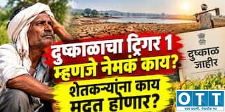 Trigger-1 लागू झाला म्हणजे शेतकऱ्यांच्या खात्यात पैसे कधी येणार? ‘प्रथम कळ’नंतर पुढे काय होणार, जाणून घ्या
