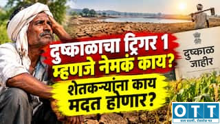 Trigger-1 लागू झाला म्हणजे शेतकऱ्यांच्या खात्यात पैसे कधी येणार? ‘प्रथम कळ’नंतर पुढे काय होणार, जाणून घ्या
