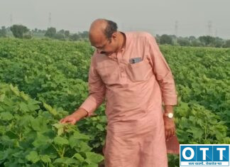 राजकारणापेक्षा शेतकरीपणाला प्राधान्य; मातीशी नाळ कायम ठेवणारे आ. रणधीर सावरकर