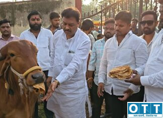 पोळ्याच्या दिवशी कोंडवाड्यातील गोवंशाची उपेक्षा; आ. साजिद खान पठाण यांचा भाजपवर निशाणा