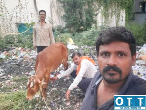 एकनिष्ठा गौ सेवा