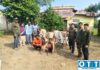 वान अभयारण्यात गोवंश तस्करीचा डाव उधळला! चार बैलांसह दोघे वनविभागाच्या जाळ्यात