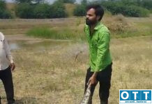 अनकवाडीत तलावाकाठी ९ फुटांचा अजगर! ग्रामस्थांमध्ये खळबळ; सर्पमित्र सूरज इंगळे यांनी केले सुरक्षित रेस्क्यू