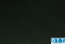 पांतोडा शेतशिवारात कापूस चोरांची टोळी सक्रिय; एकाला रंगेहात पकडले, चार जण फरार!